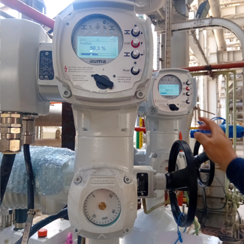 LEWA-Installation-Supervision-&-Commissioning-2